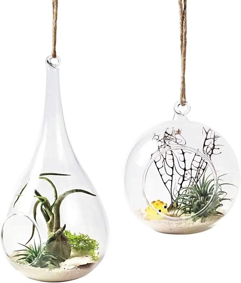 Mkono Hanging Glass Terrarium, 2 Pack Air Plant Holder Globe Hanger Planter